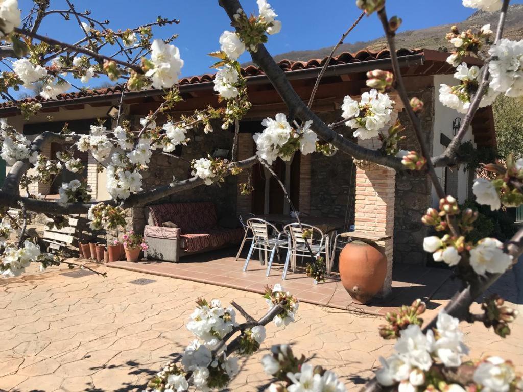 Casa Rural La Picotina Navaconcejo Luaran gambar