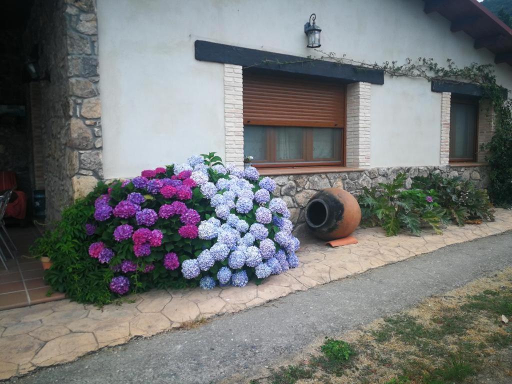 Casa Rural La Picotina Navaconcejo Luaran gambar