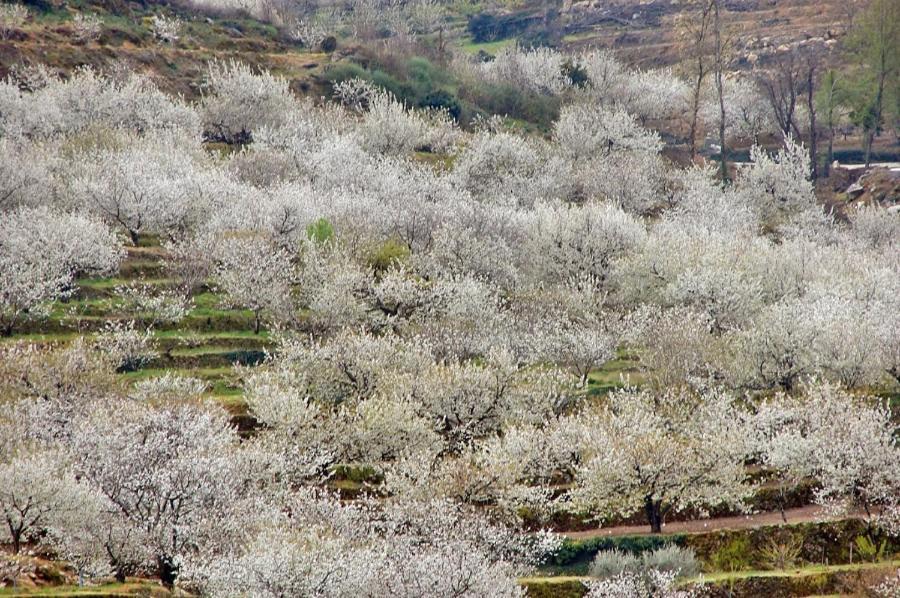 Casa Rural La Picotina Navaconcejo Luaran gambar